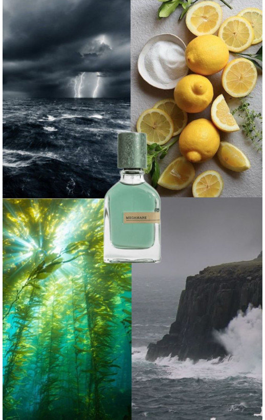 عطر ادکلن یونیسکس مگاماره ۵۰ میل مسترکوالیتی سفارش اروپا بارکددار