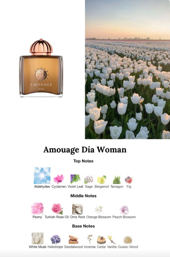 عطر ادکلن زنانه دیا ۱۰۰ میل مسترکوالیتی سفارش اروپا بارکددار