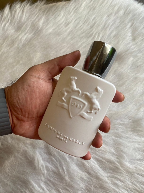 عطر ادکلن مردانه گالووی 125 میل مسترکوالیتی سفارش اروپا بارکددار